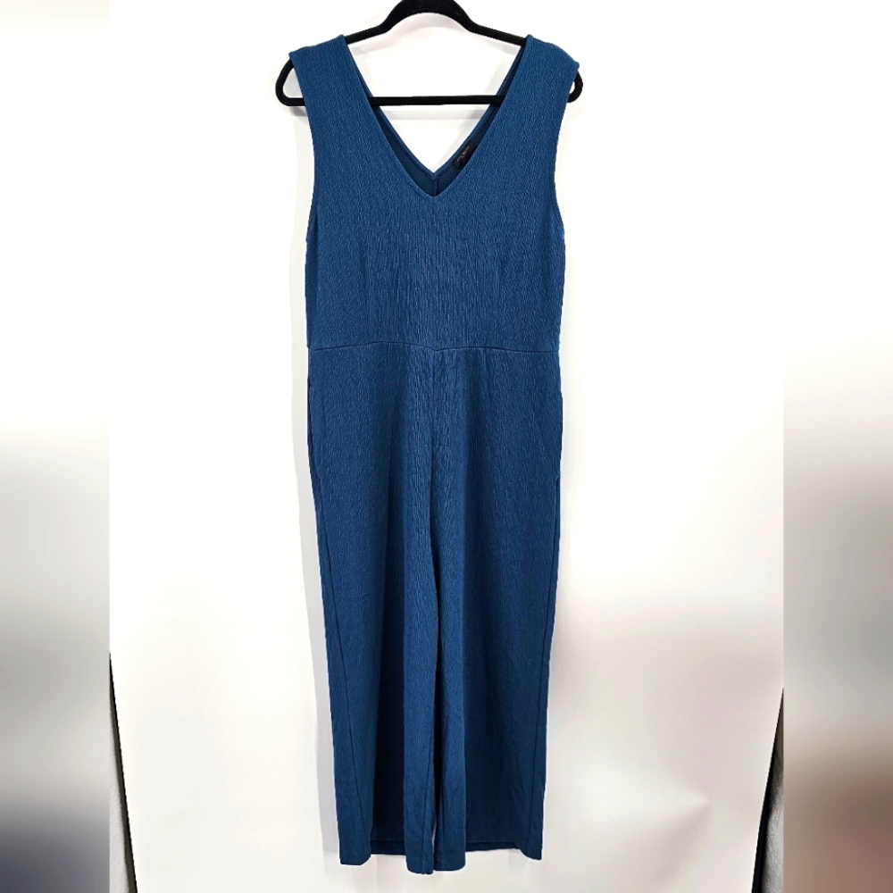 Ann Taylor Blue Sleeveless Jumpsuit Size Large